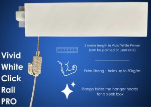 IMG_9399 Art hanging systems image